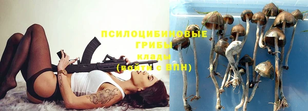 тгк Алексин