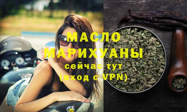 тгк Сатка