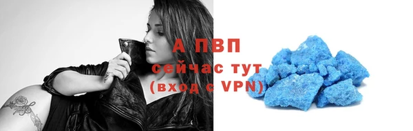 тгк Алексин