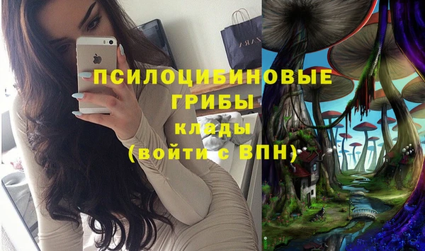 тгк Алексин