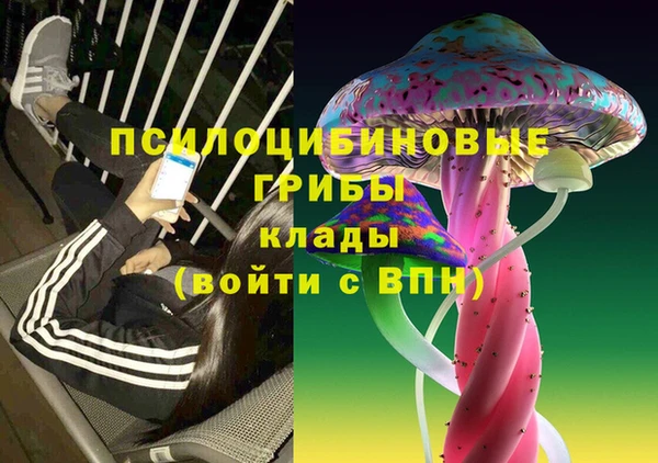 тгк Алексин