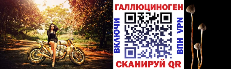 Галлюциногенные грибы GOLDEN TEACHER Железногорск-Илимский